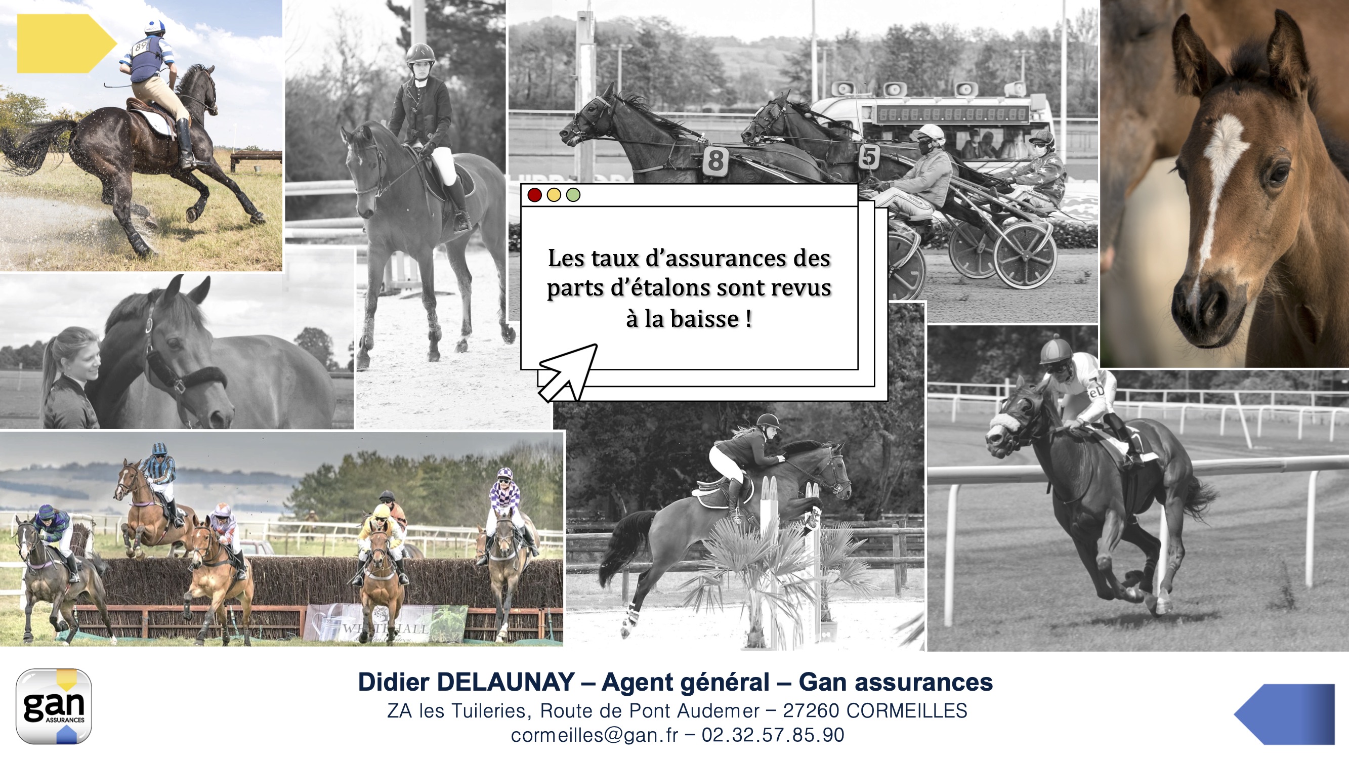 devis_assurance_chevaux