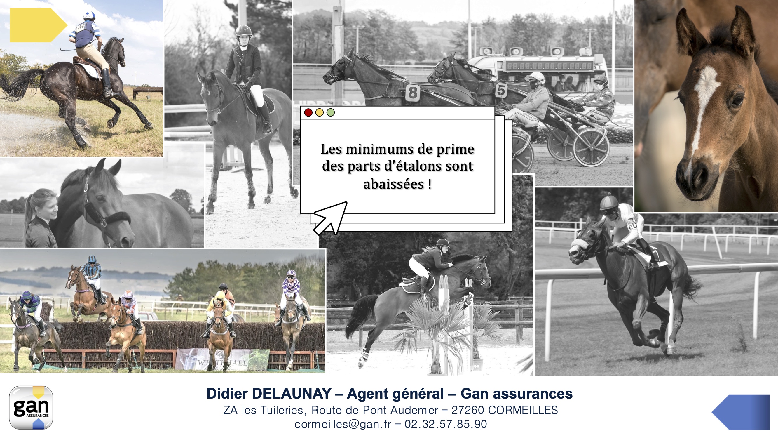 devis_assurance_chevaux