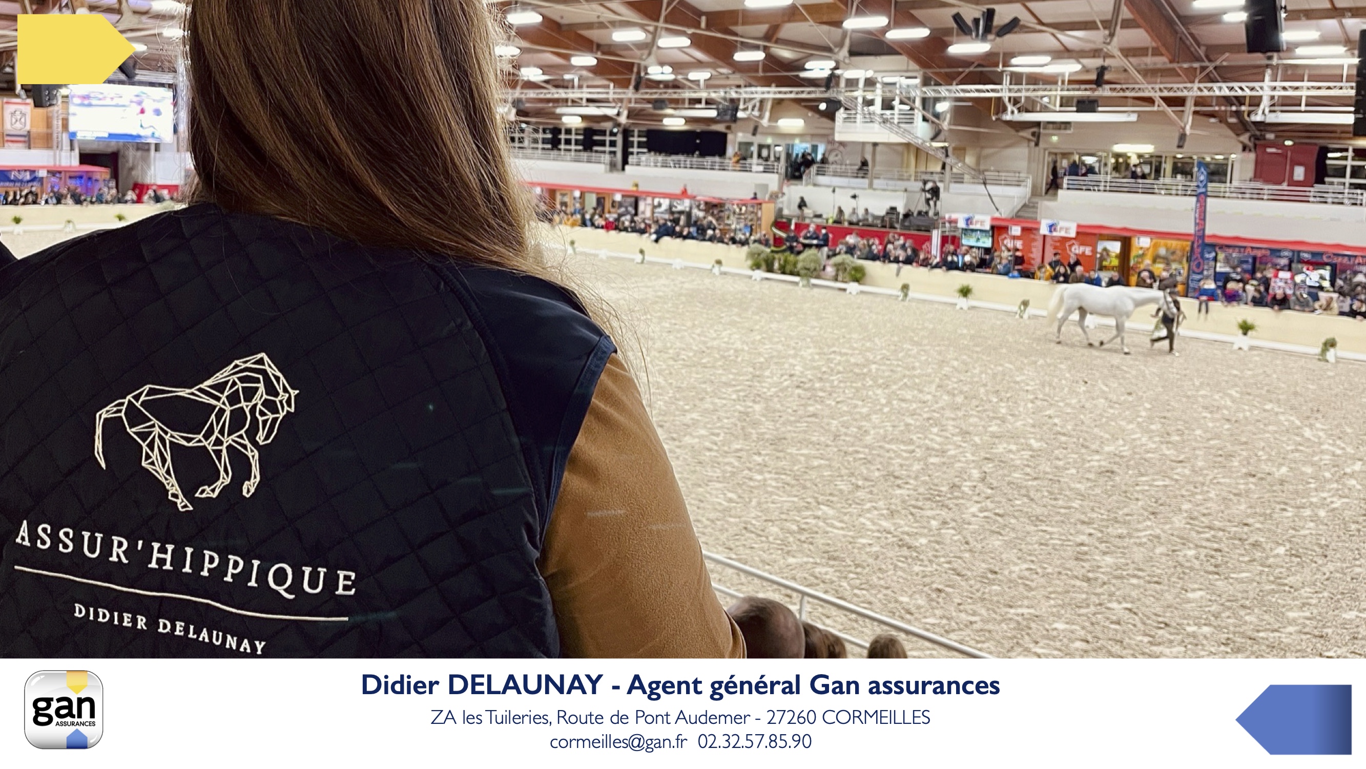 devis_assurance_chevaux